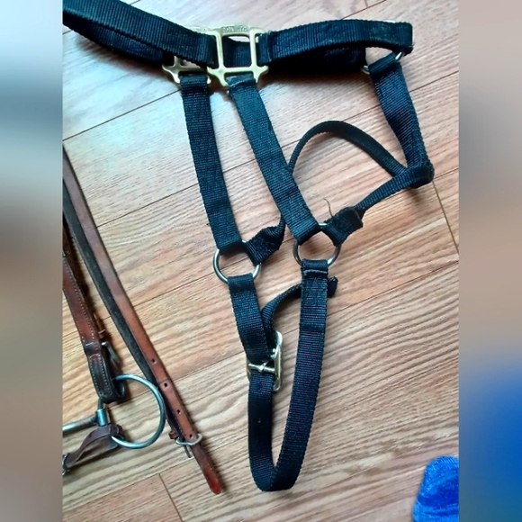 Western leather headstall includes bit and heavy halter - Picture 4 of 8